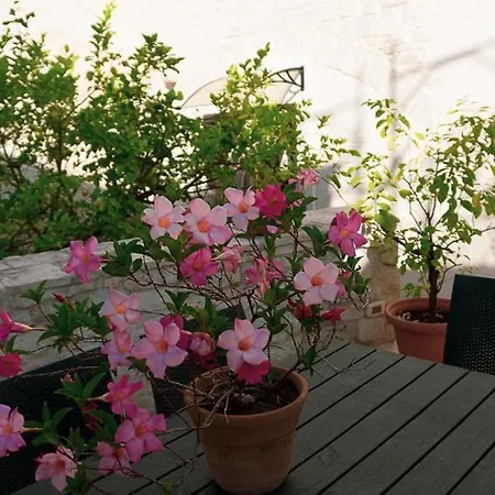 Il Giardino Della Giudecca Trani